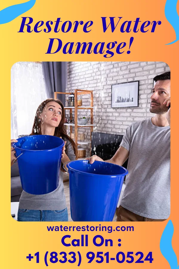 water restoration Vigilant Drying Solutions Honomu
